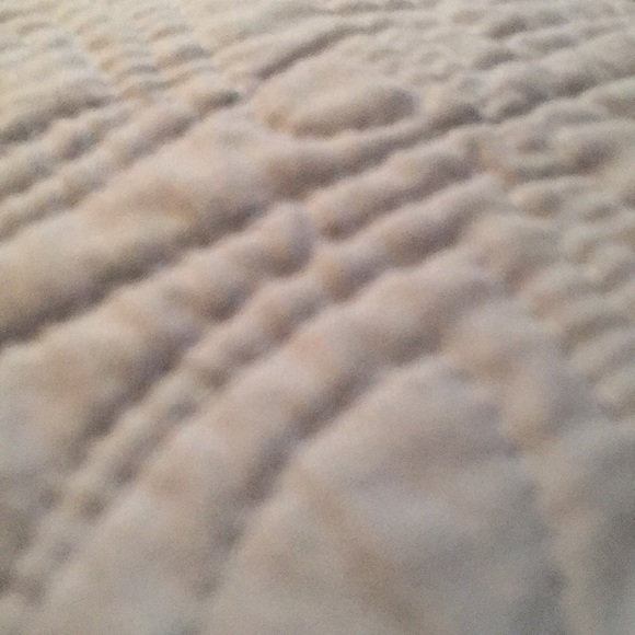 Meet your Posher, Anna - Picture 1 of 1